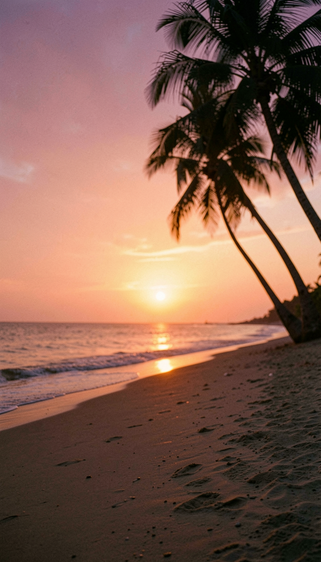 An empty beach at the last minute of sunset.
